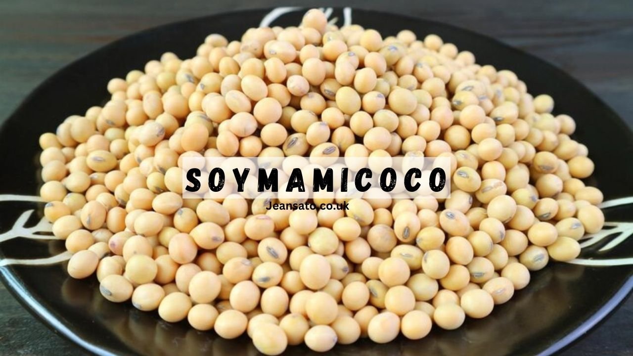 Soymamicoco