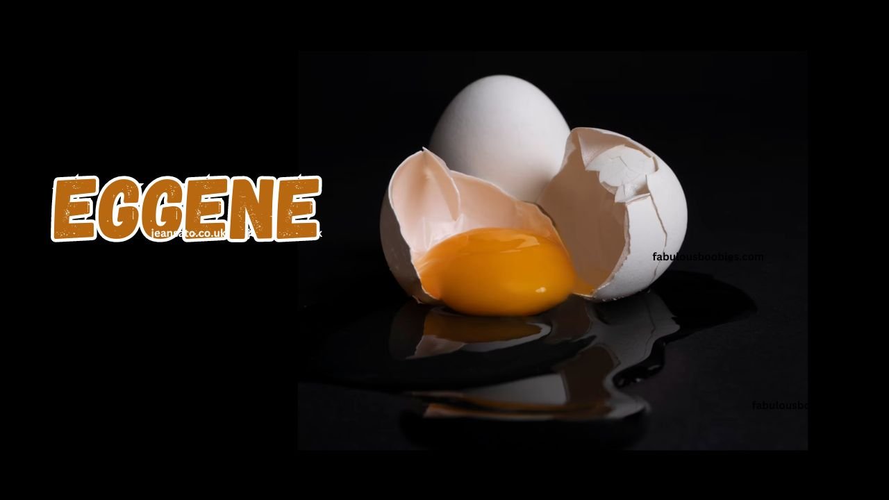 Eggene