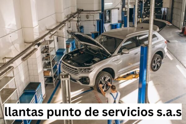 llantas punto de servicios s.a.s